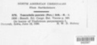 Tranzschelia discolor image